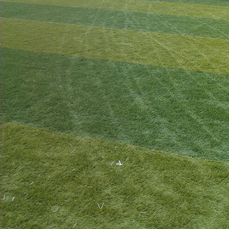 建一個(gè)七人制足球場多少錢 五人足球場地造價(jià)寸